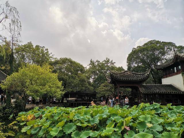 必赢下载拙政园“牵手”美团古典园林焕发数字新生机(图7)