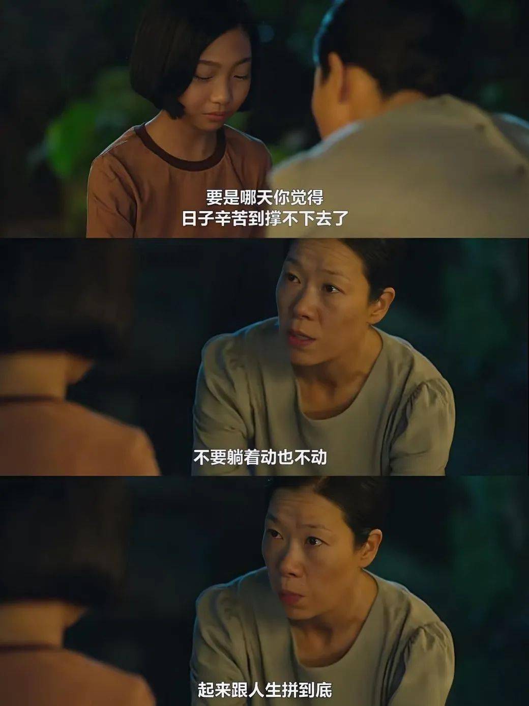网友拍到鱼游荷上露韩剧男主角是韩国史上最大的骗局……
