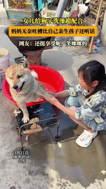 女儿给狗子洗澡超配合，妈妈无奈吐槽比自己亲生孩子还听话