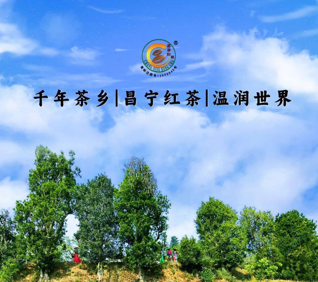 雷竞技raybet网址专业采购指南｜第21届重庆春季茶博会优选展商之展团及品牌茶企篇(图2)