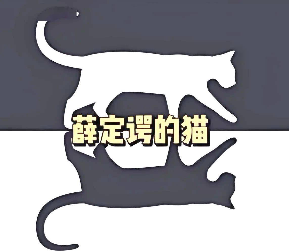 “薛定谔的猫”到底想表达什么？真的存在“既死又活”的猫吗？