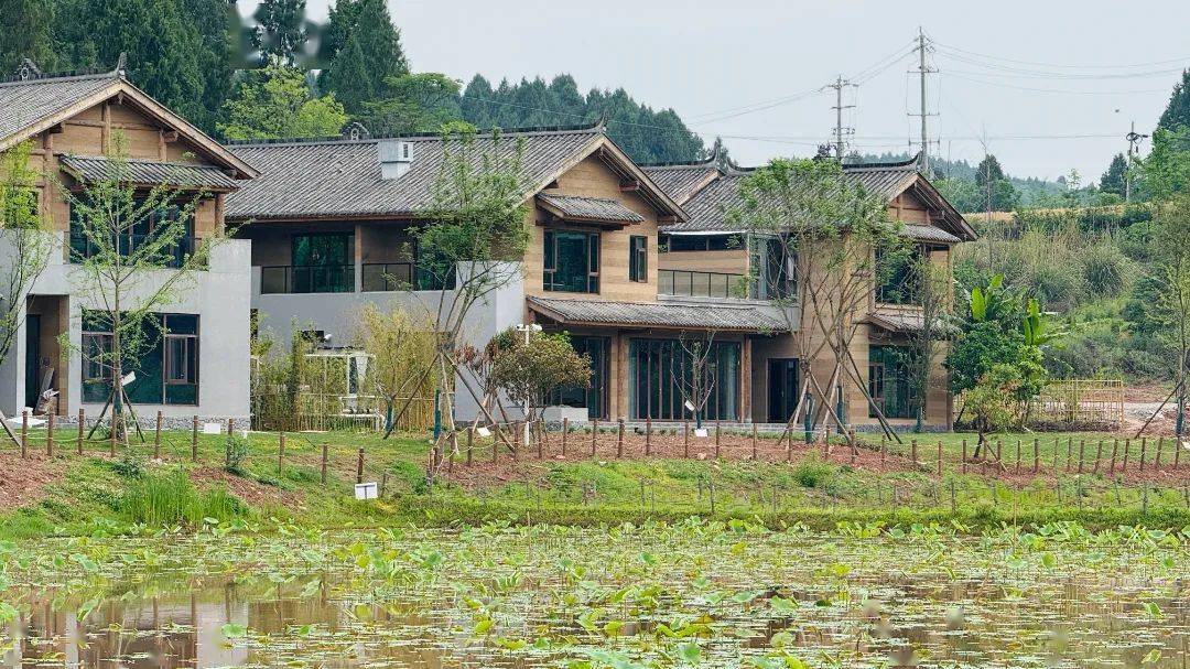 文商旅体融合+乡村振兴 简阳这里玩出新花样→