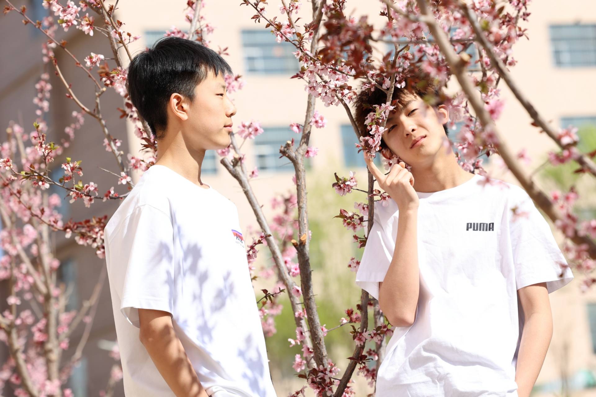 百家乐- 百家乐官方网站- APP下载靠谱的银川万通职业技术