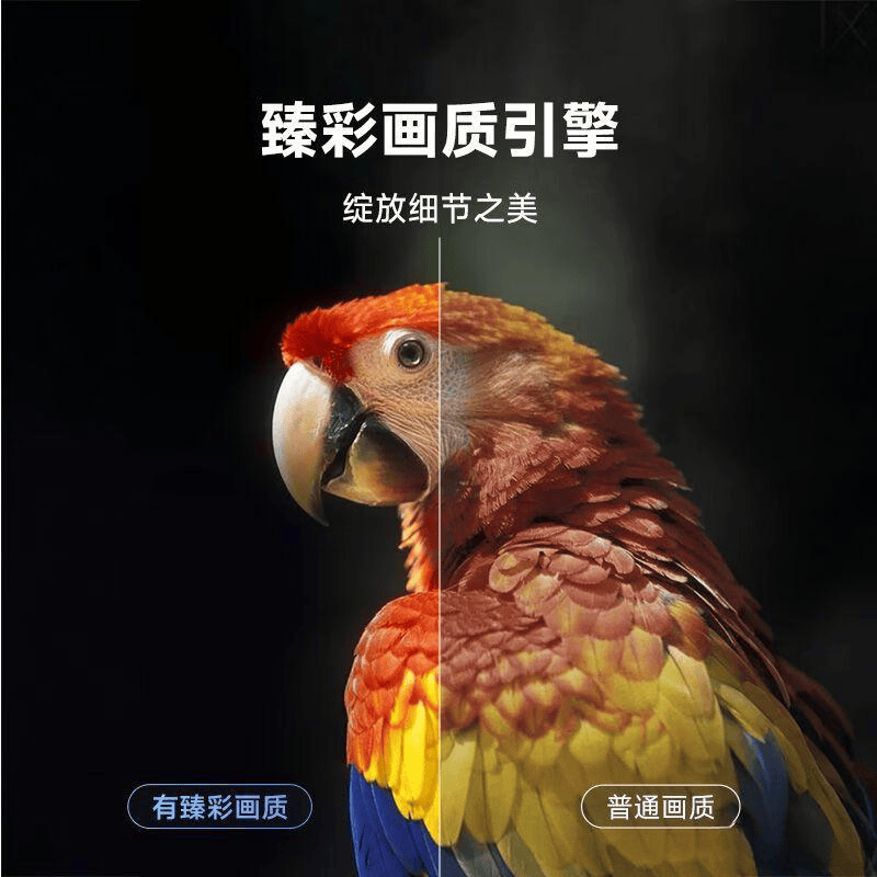 网络机顶盒品牌排名前十名选择最适合家庭娱乐的理想伙伴(图3)