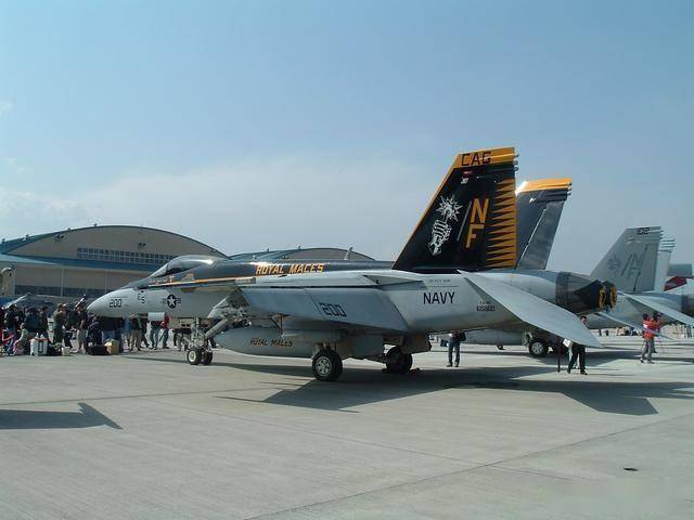 从弃子到全能王：麦道F/A-18“大黄蜂”的逆袭之路