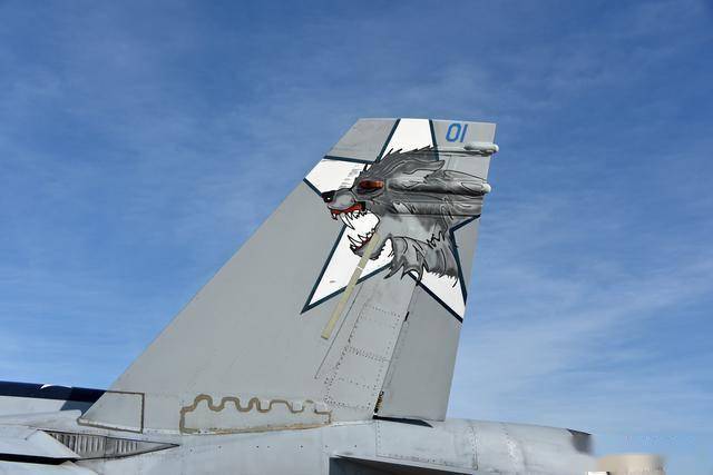 从弃子到全能王：麦道F/A-18“大黄蜂”的逆袭之路