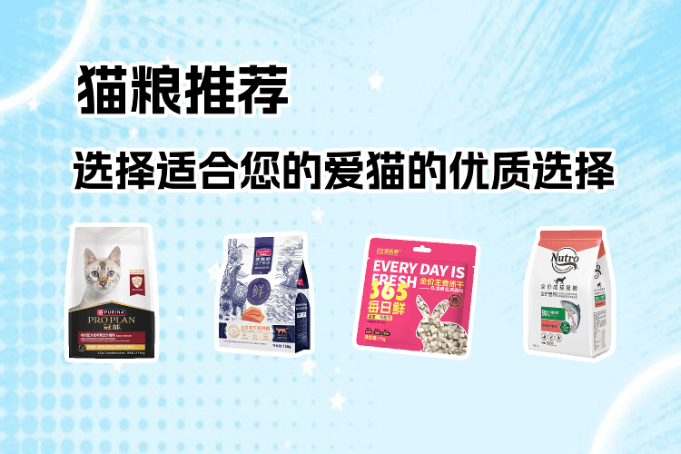 dbd08ae34cd24a6e91d423934b112075.png