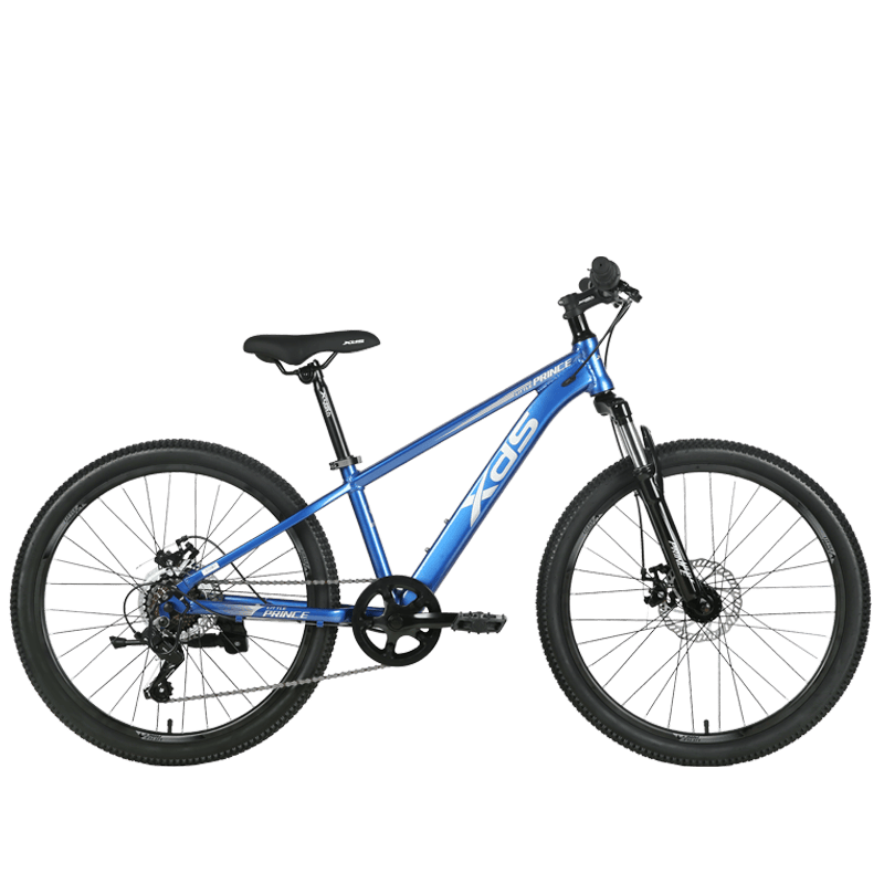 探索户外骑行的乐趣：喜德盛青少年自行车小王子评测(图1)