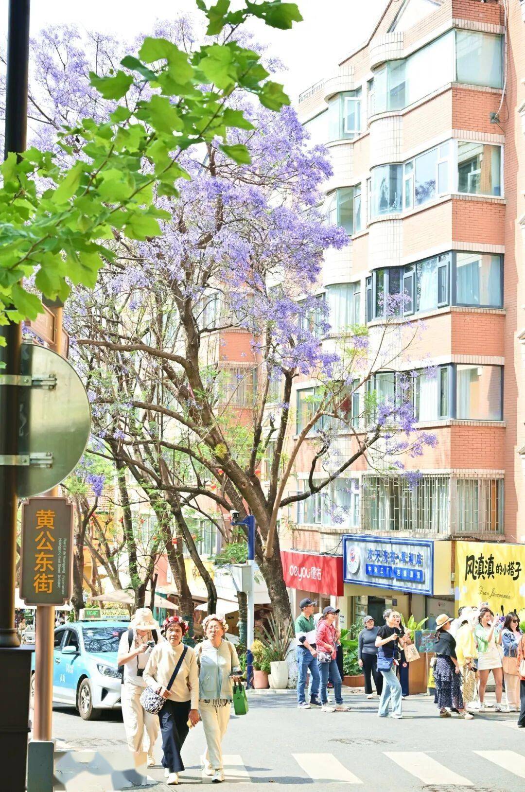 顶流担当！五一昆明交出硬核成绩单：人海+花海+口碑全线飘红