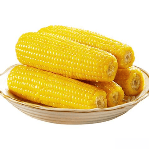 1975c7cc162a42edb626a5695282b3d2.png