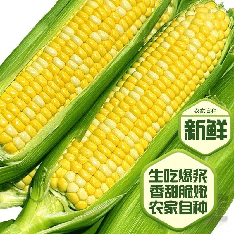 9a3f9d4ebc3249ebb9854082fab8a1a7.png