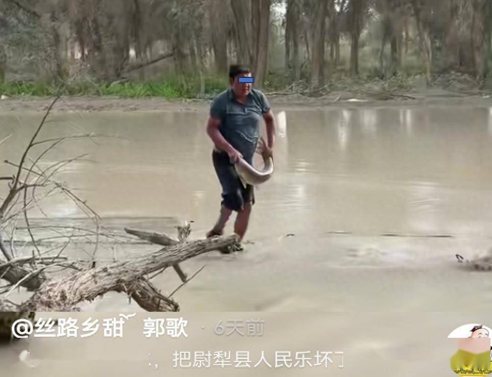 沙漠河道出鱼了？塔里木河涨水，老乡10多斤的草鱼抓不少