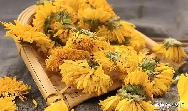 怀菊花功效与作用温贤仁一杯好茶产地中国温县