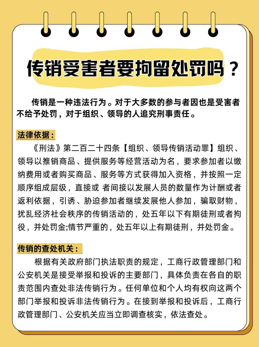 贵阳破获特大传销案图片