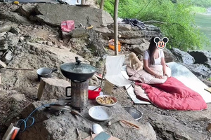 在宜享花平台仅查额度就“被贷款”99900元