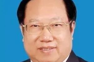 王晓东被查！湖北官场F4之一！-图片