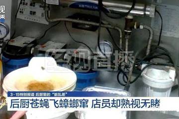 被曝用过期食材、健康证造假 华莱士道歉：涉事