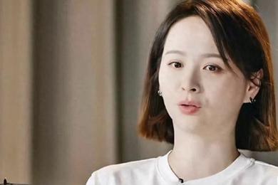 邓莎老公路行被曝曾行贿千万元：违法行为不可沦