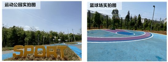 設施主題為全年齡體育公園,其中年輕業主主要是籃球場,中老年人主要是