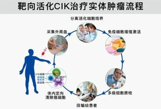 恩次方全民防癌中心:cik細胞治療重塑免疫力_患者_腫瘤_作用