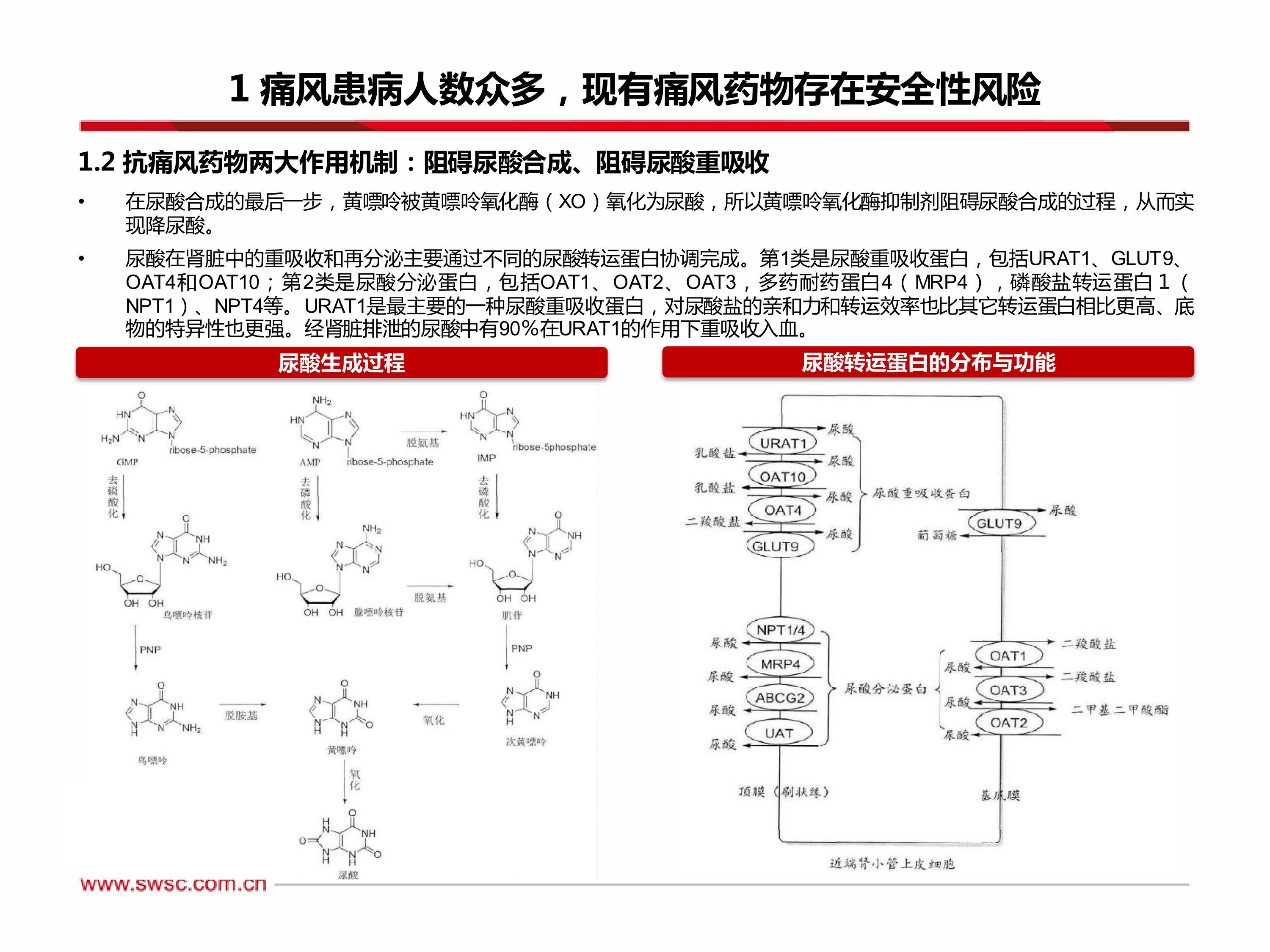 别嘌醇作用机制图片