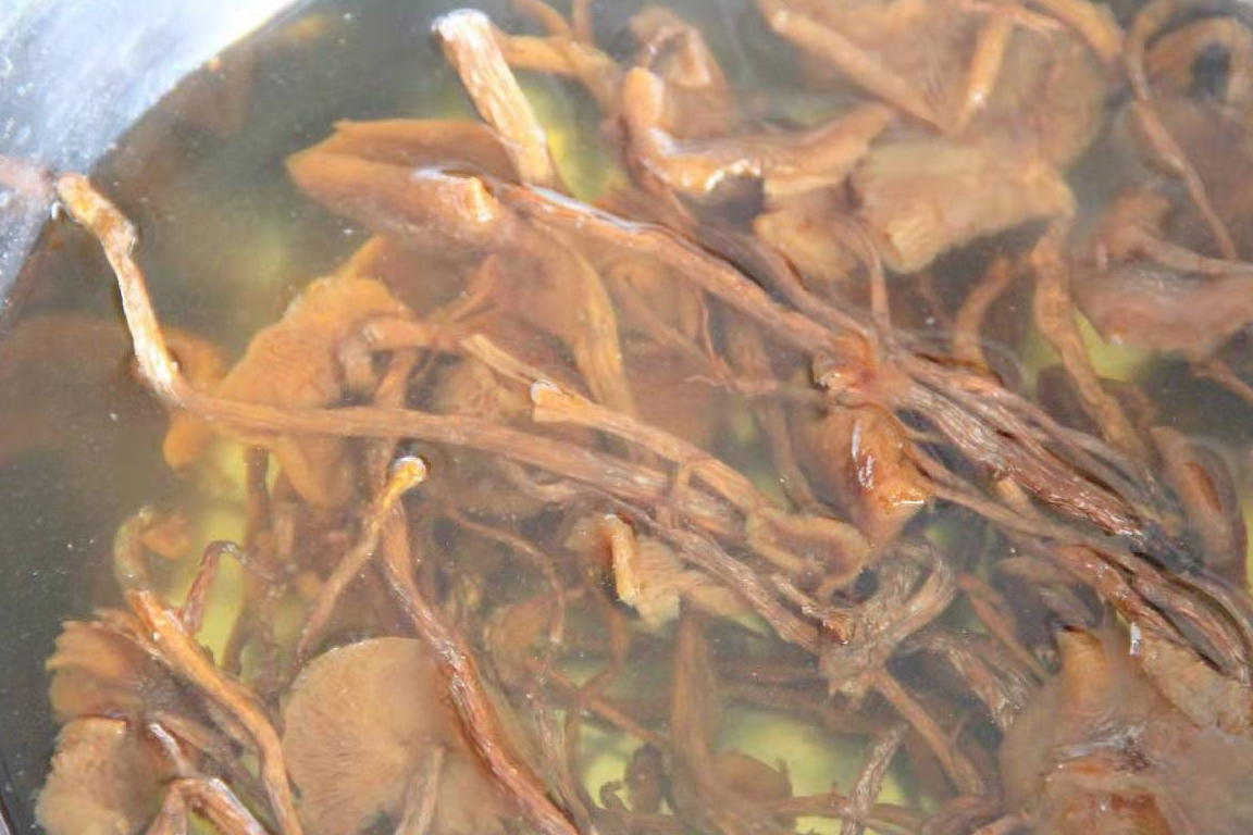 入秋后要多喝这汤,清爽不油腻,营养丰富又美味,连喝3碗还想喝_茶树菇