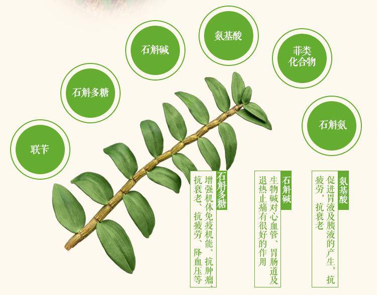 石斛图片,它的美丽形态让你惊叹不已,快来欣赏吧!_铁皮_环境_成分