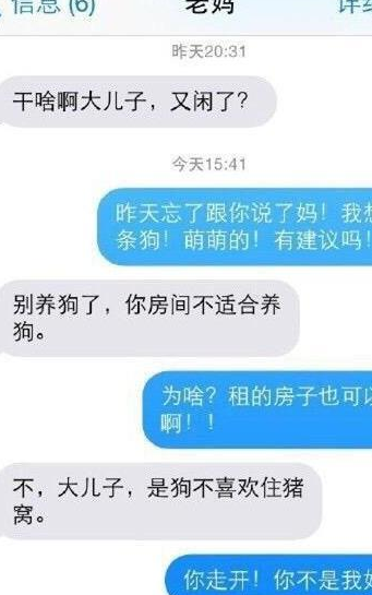 搞笑聊天記錄:幾個女孩談論嫁個什麼樣的老公,對話讓