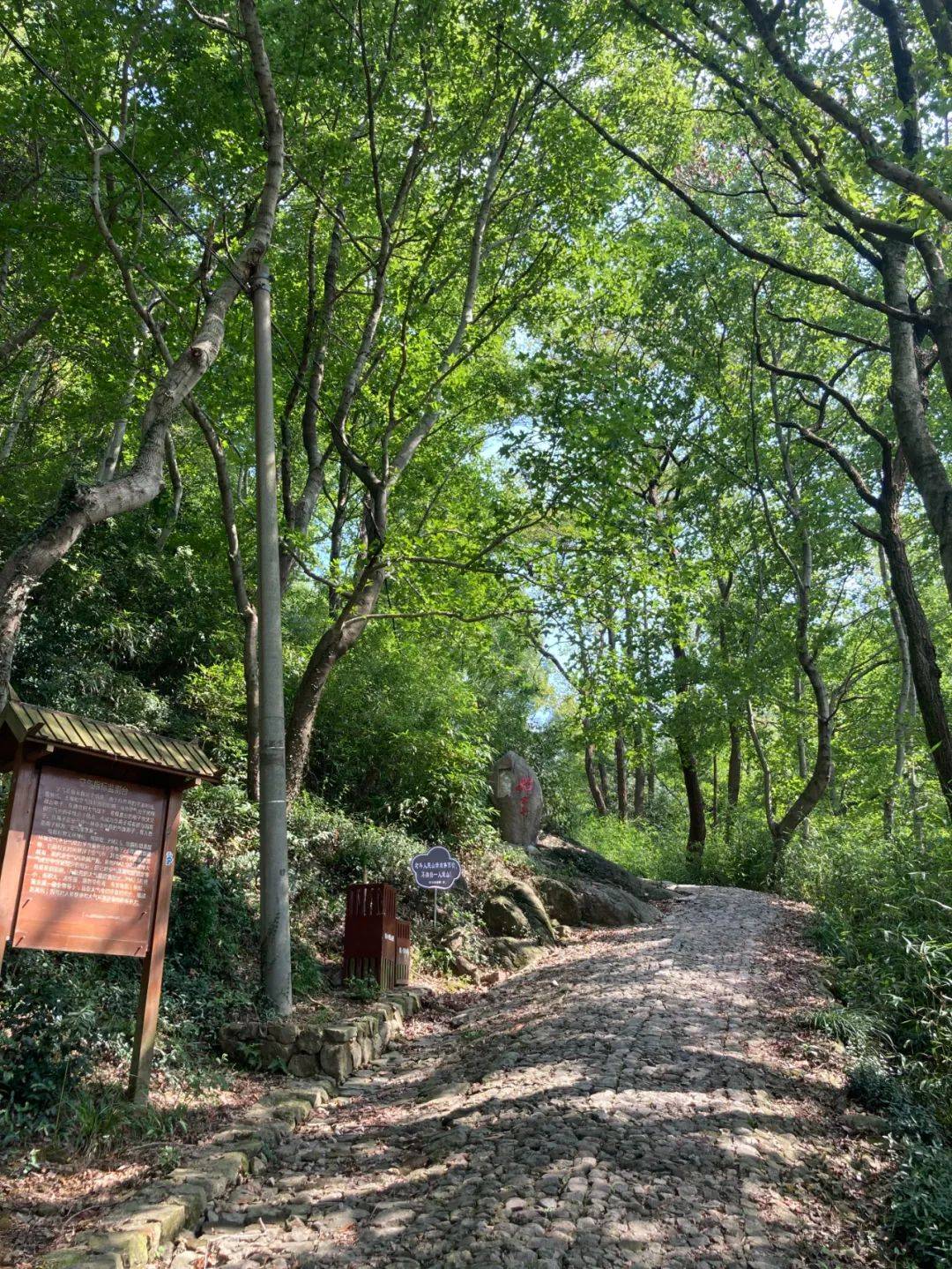 (寧海段)棲霞坑古道(奉化)芝林古道(餘姚)亭溪嶺古道(東錢湖)入選名單