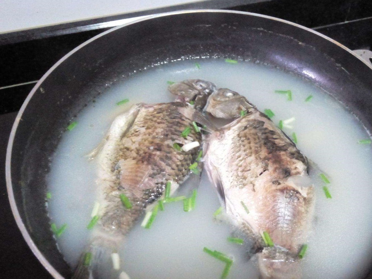 炖鱼汤的做法 来自搜狐网