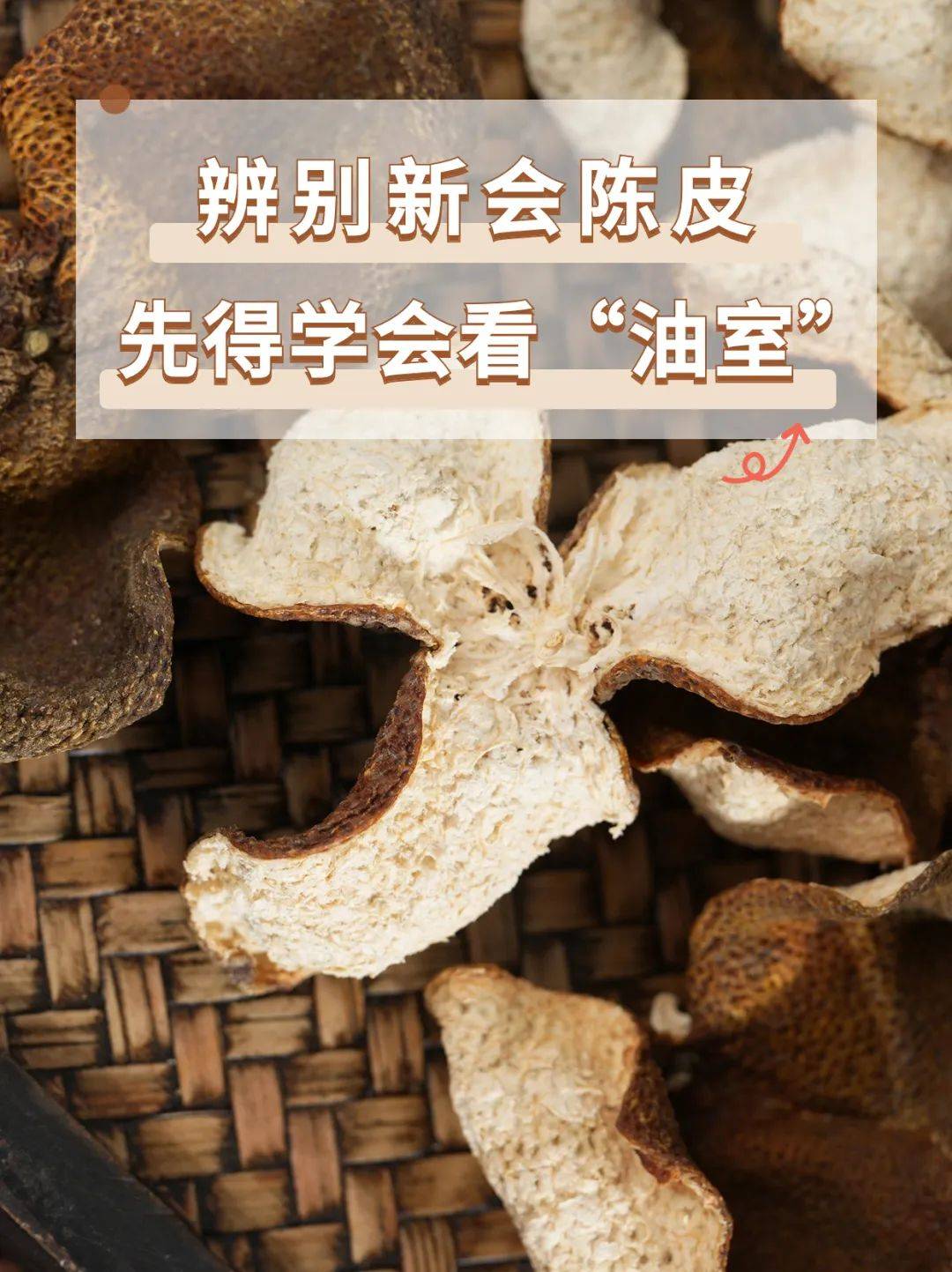 新会陈皮的"油室",到底是什么?_陈化_挥发油_细胞