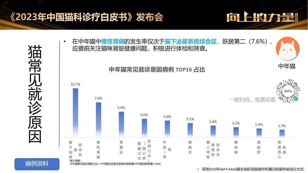 在中年貓常見就診病例中,慢性腎病的發生率僅次於貓下泌尿系統綜合徵