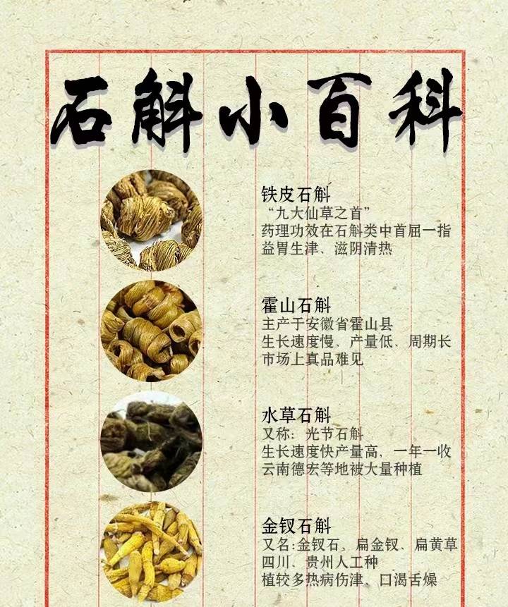 节茎石斛的药用价值图片