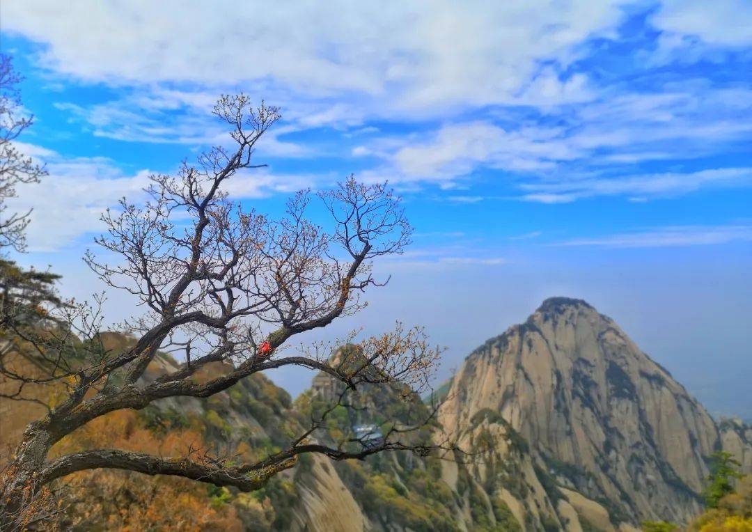 近年來,華山景區積極順應文旅融合發展趨勢,構建旅遊發展新格局,不斷