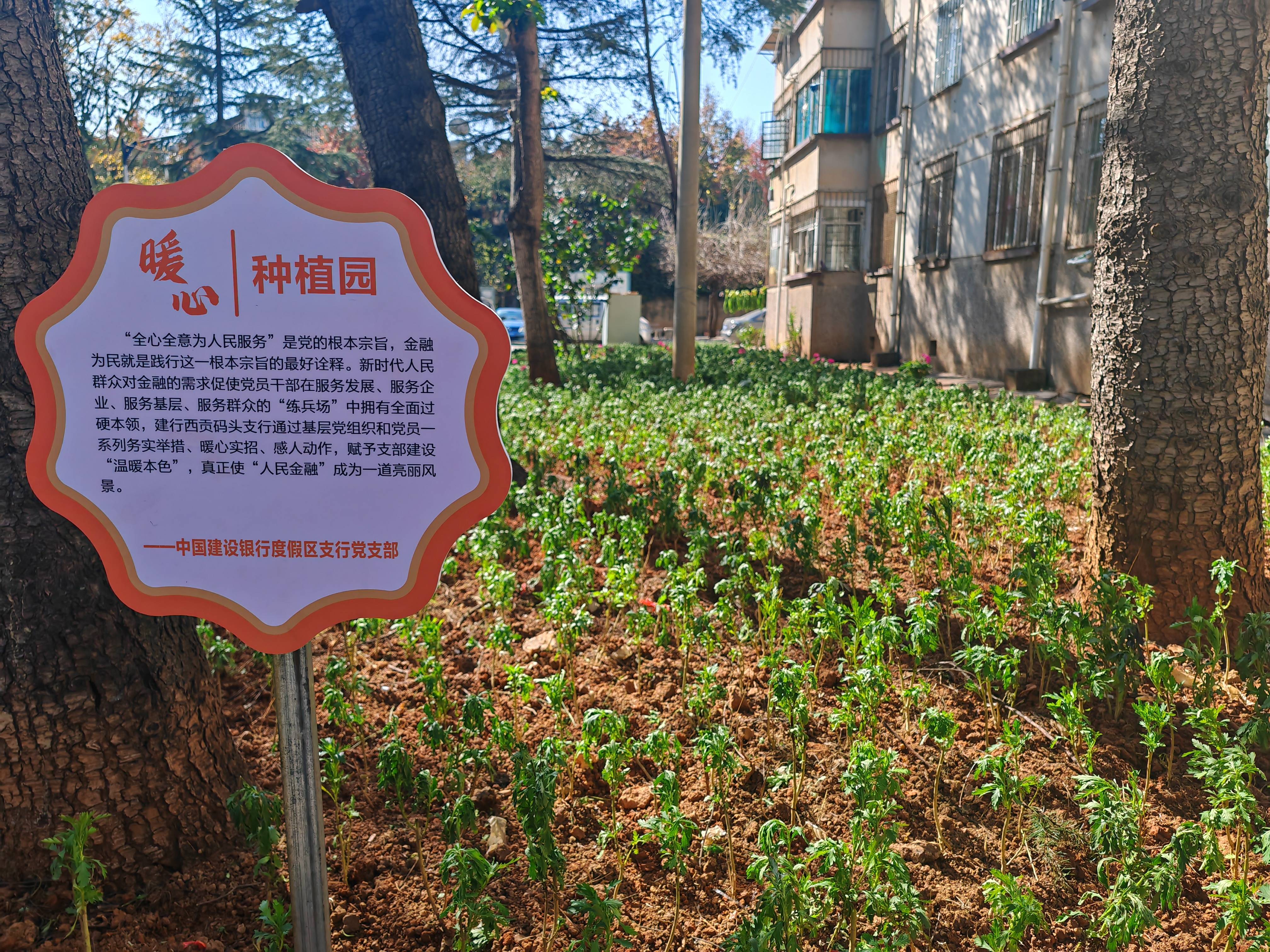 當天,走進位於滇池路的雲南民族村生活區,4層高的小區房子外牆舊跡