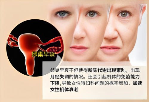 中创博康干细胞|干细胞在卵巢早衰中的重大作用_女性_变化_治疗