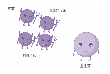 感染性因素:90%以上的陰道感染由細菌,假絲酵母菌和陰道毛滴蟲引起.