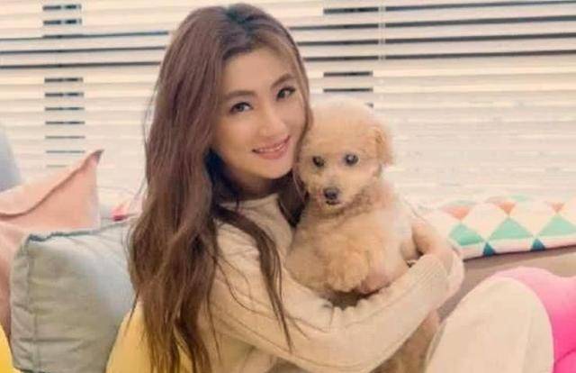 张承中求婚女友尹馨被拒绝,看过他的表现,终于懂了被拒绝的原因