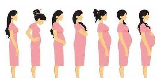 怀孕五个月顶到胃图片图片
