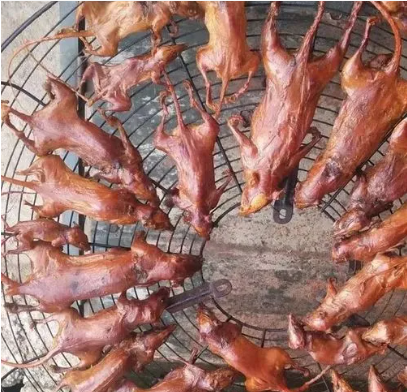 你可曾想过,昼伏夜出的老鼠也是一种美味?吃过老鼠干的请举手