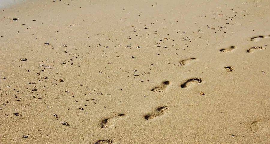 CES2024不火:格力海尔方太奥克斯平台引爆,飞利浦追觅市场抢跑-家电圈官网