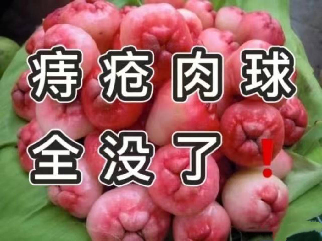 术后痔疮常常复发?康复者告诉你一个诀窍!肉球瞬间干瘪!