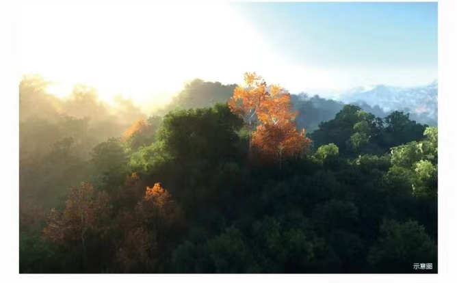 部分高层能对望14平方公里银湖山郊野公园山景,推窗即是一副风景画