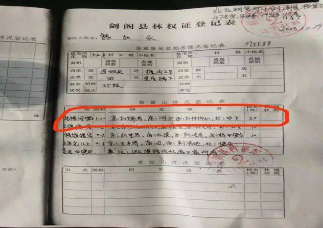 广元市村民魏如锦侵权案引发关注_林权_事情_政府部门