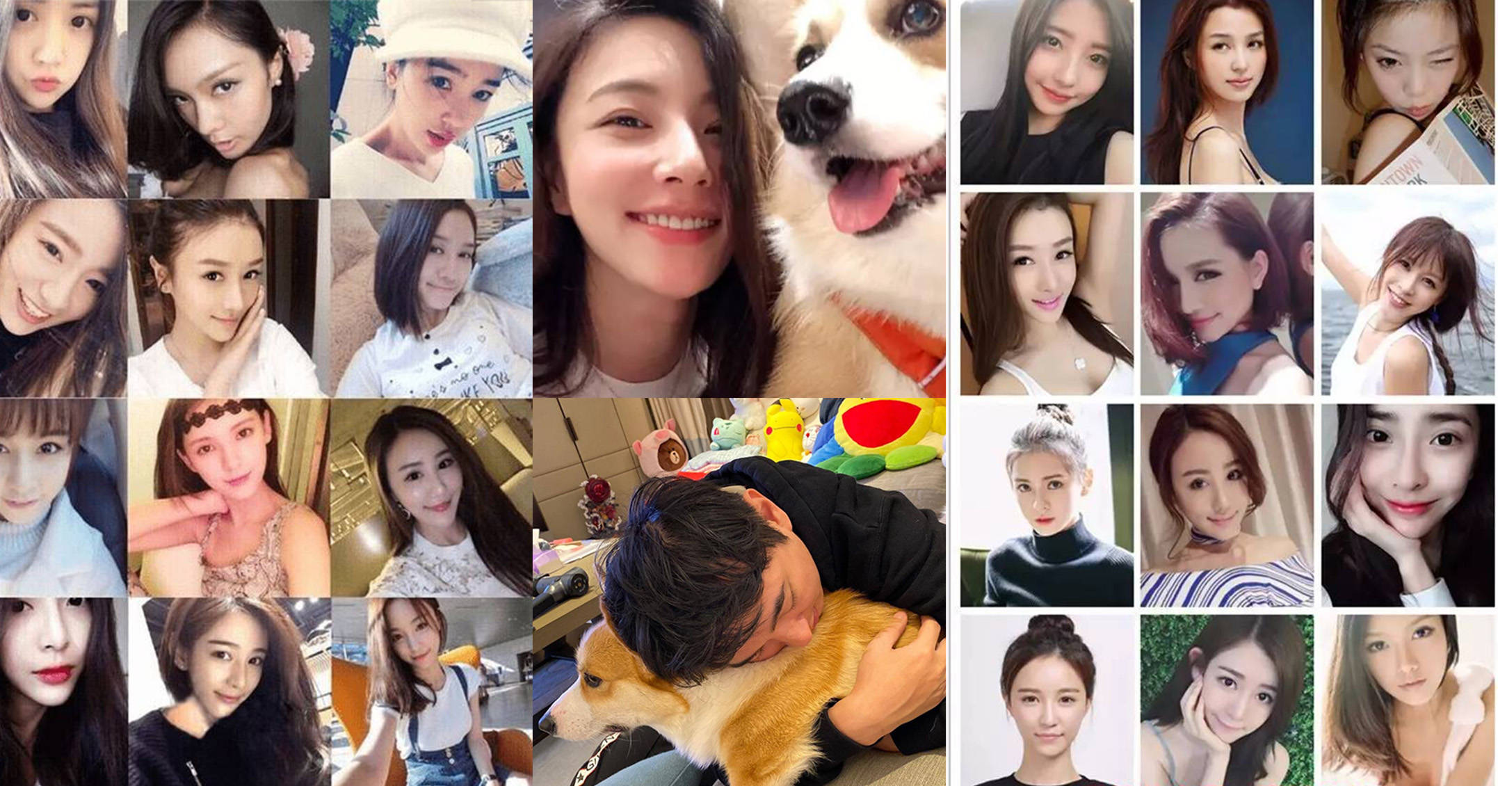 流行天后泰勒斯威夫特的猫,身价7个亿_宠物_霍思燕_飞机