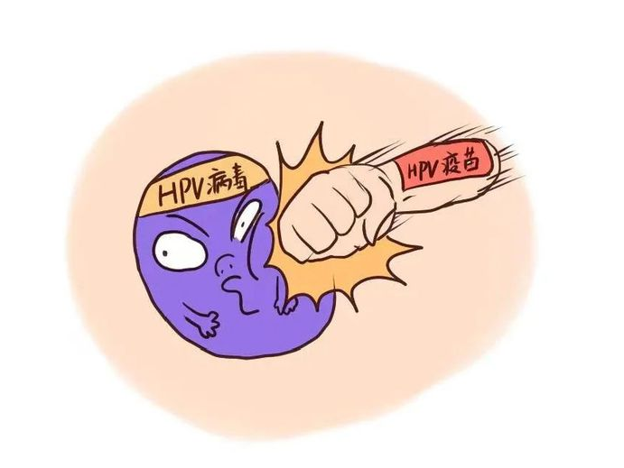 中西医医师讲解综合诊疗hpv:微波后的复发处理方案_药物_免疫力_情况