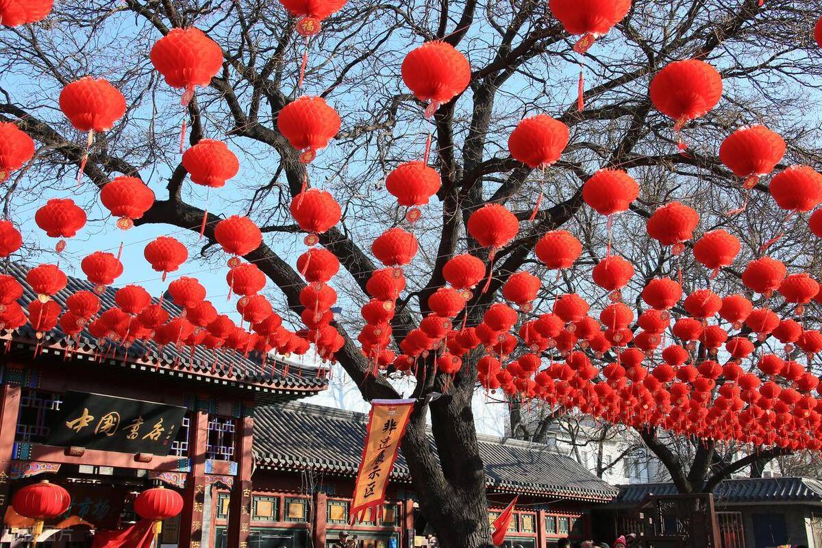 俗语“三九四九不下雪，五九六九旱还接”，什么意思？2024年春节冷吗_搜狐网