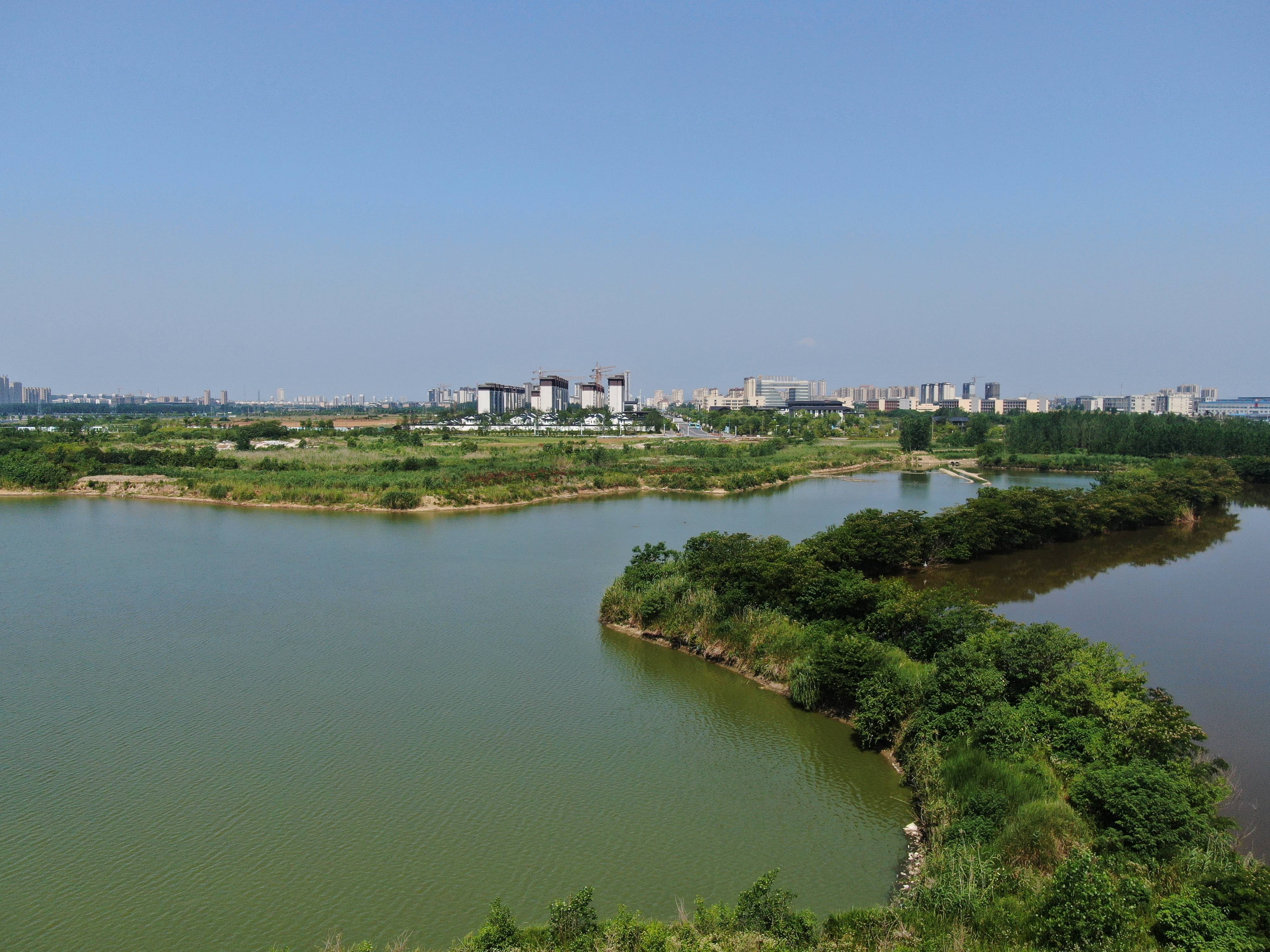 南京桃李春风图片