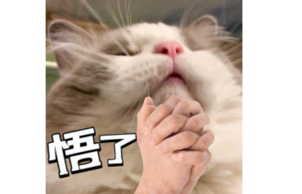 开放式耳机怎么选?2024年度超强机型推荐,亲测分享!