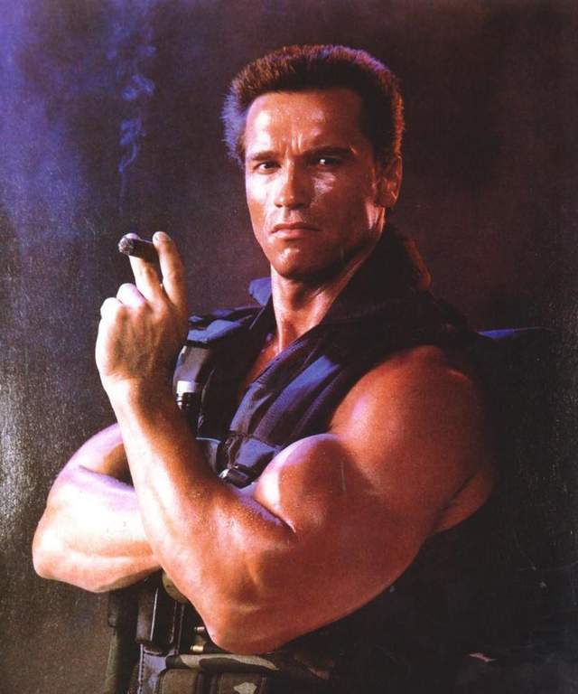 施瓦辛格因1万欧元被扣3小时,交3倍罚款脱身,粉丝:罚得好_申报_手表